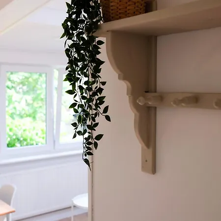 24 - Aan Zee - Met Eigen Tuin * Noordwijk