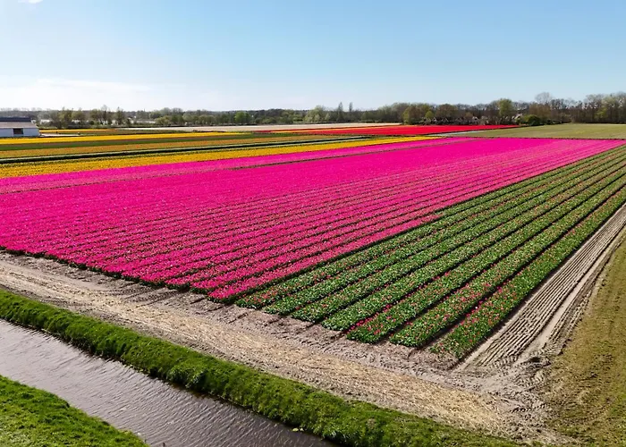 24 - Aan Zee - Met Eigen Tuin