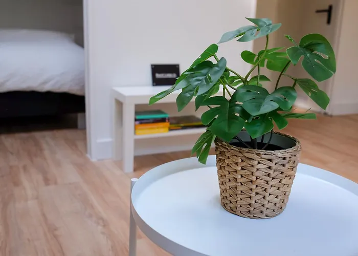 Feriehus 24 - Aan Zee - Met Eigen Tuin *