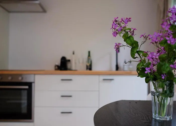 بيت للعطل 24 - Aan Zee - Met Eigen Tuin *