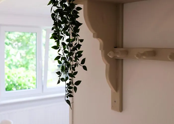 24 - Aan Zee - Met Eigen Tuin * نوردفيك